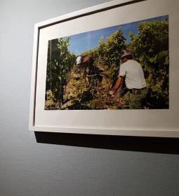 MyWine Wine Bar & Shop