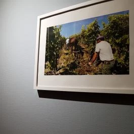 MyWine Wine Bar & Shop, Budapest - Belső