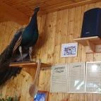 Nádas Étterem Jakabszállás - Belső