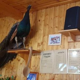 Nádas Étterem, Jakabszállás - Belső