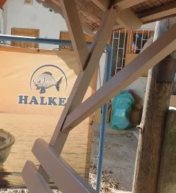 Nádfedeles Halsütő