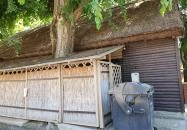 Nádfedeles Halsütő Balatonlelle