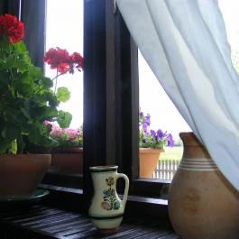 Nagylaposi Birkacsárda, Gyomaendrőd - Belső