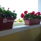 Nagylaposi Birkacsárda Gyomaendrőd - Külső kép