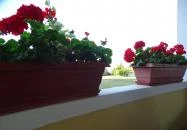 Nagylaposi Birkacsárda Gyomaendrőd