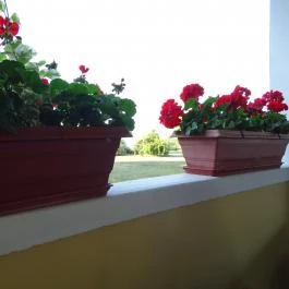 Nagylaposi Birkacsárda, Gyomaendrőd - Külső kép