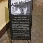 Napfény Műterem Szeged - Egyéb