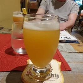 Napfény Műterem, Szeged - Egyéb