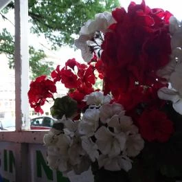 Napközi Bisztró, Budapest - Külső kép