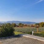 Natura Hill Étterem Zebegény - Egyéb