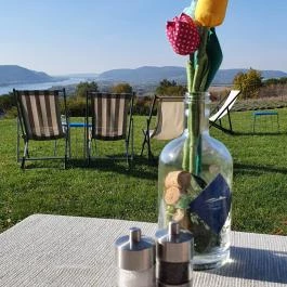 Natura Hill Étterem, Zebegény - Egyéb