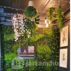 Nekem a Balaton - Nánásiék Balatonakarattya - Egyéb