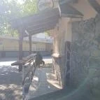 Nelson Esztergom - Egyéb