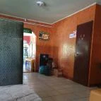 Nelson Esztergom - Egyéb