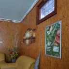 Nelson Esztergom - Egyéb