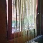 Nelson Esztergom - Egyéb