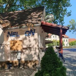 Nelson Esztergom - Egyéb