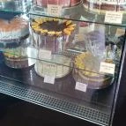 Nikoletta Cukrászda Biatorbágy - Egyéb