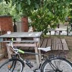 Nopara Gyógysertár Tiszafüred - Egyéb