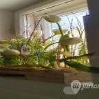 Noresa Étterem Szálka - Egyéb