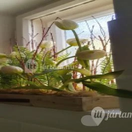 Noresa Étterem, Szálka - Egyéb