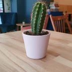 Norma Coffee Nagykanizsa - Egyéb