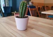 Norma Coffee Nagykanizsa