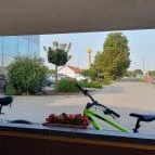 Nyárfa Vendéglő Kalocsa - Egyéb