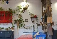 Keszegsütő Nyíregyháza