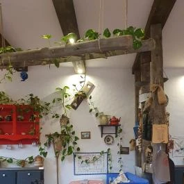 Keszegsütő Nyíregyháza - Egyéb