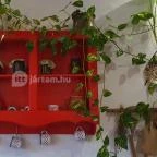 Keszegsütő Nyíregyháza - Egyéb