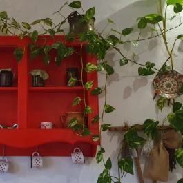 Keszegsütő Nyíregyháza - Egyéb