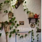 Keszegsütő Nyíregyháza - Egyéb