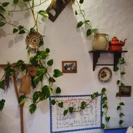 Keszegsütő Nyíregyháza - Egyéb