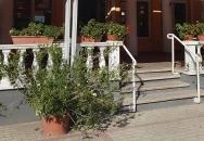 Oázis Cukrászda Kávéház Solt