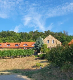 Oázis a Klastromhoz Wellness Vendégház