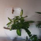 ODA Budapest - Egyéb