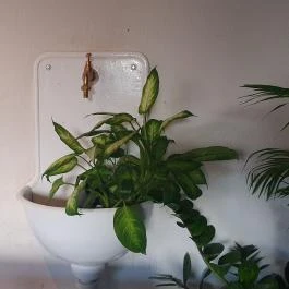 ODA Budapest - Egyéb