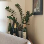 Onyx Street Food House Kistelek - Egyéb