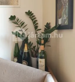 Onyx Street Food House