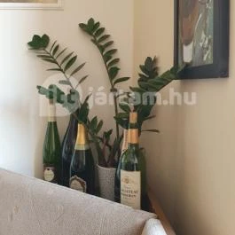 Onyx Street Food House Kistelek - Egyéb