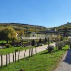 Optimus Étterem Szekszárd - Egyéb