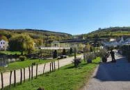 Optimus Étterem Szekszárd