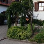 Öreg Prés Butikhotel Mór - Külső kép