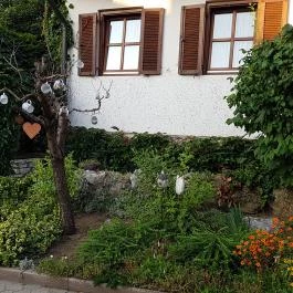 Öreg Prés Butikhotel, Mór - Külső kép