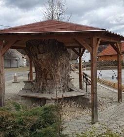 Az Öreg Tölgy Bisztró