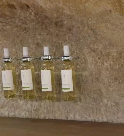 Ostorosbor Látványpince & Kóstolócentrum