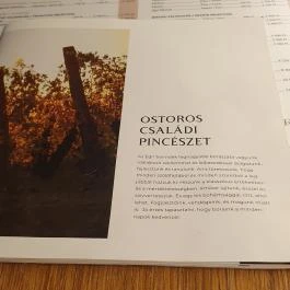 Ostorosbor Látványpince & Kóstolócentrum, Eger - Egyéb