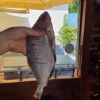 Oszi Bácsi Keszegsütödéje Szigliget - Egyéb