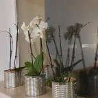 Pacsi Pizzéria & Kulturális Központ Budapest - Egyéb